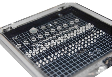 About the Micro Lens