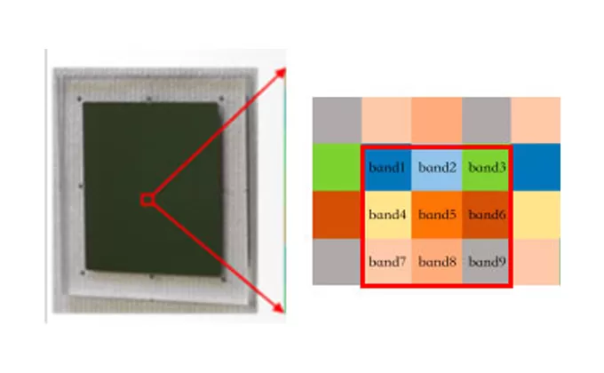 Descriptions of Mosaic Filter