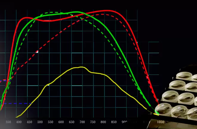 Science and Research